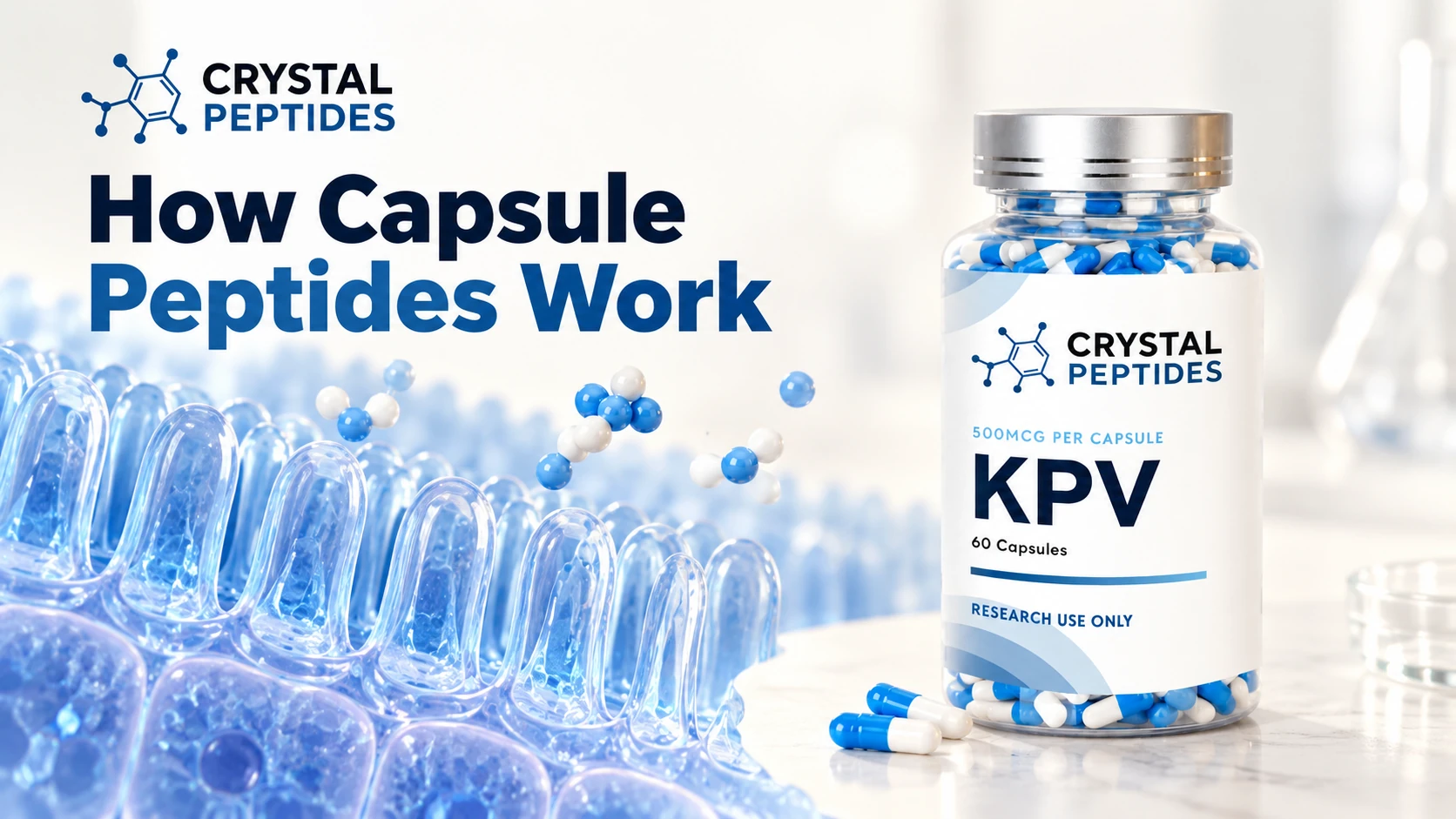 KPV-Kapselflasche von Crystal Peptides neben einer schematischen Darstellung der Darmoberfläche.